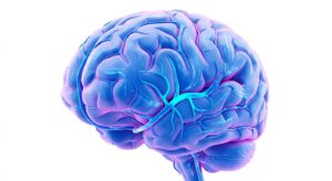 뇌경색의 개념을 보여주는 뇌 혈류 흐름 3D 일러스트